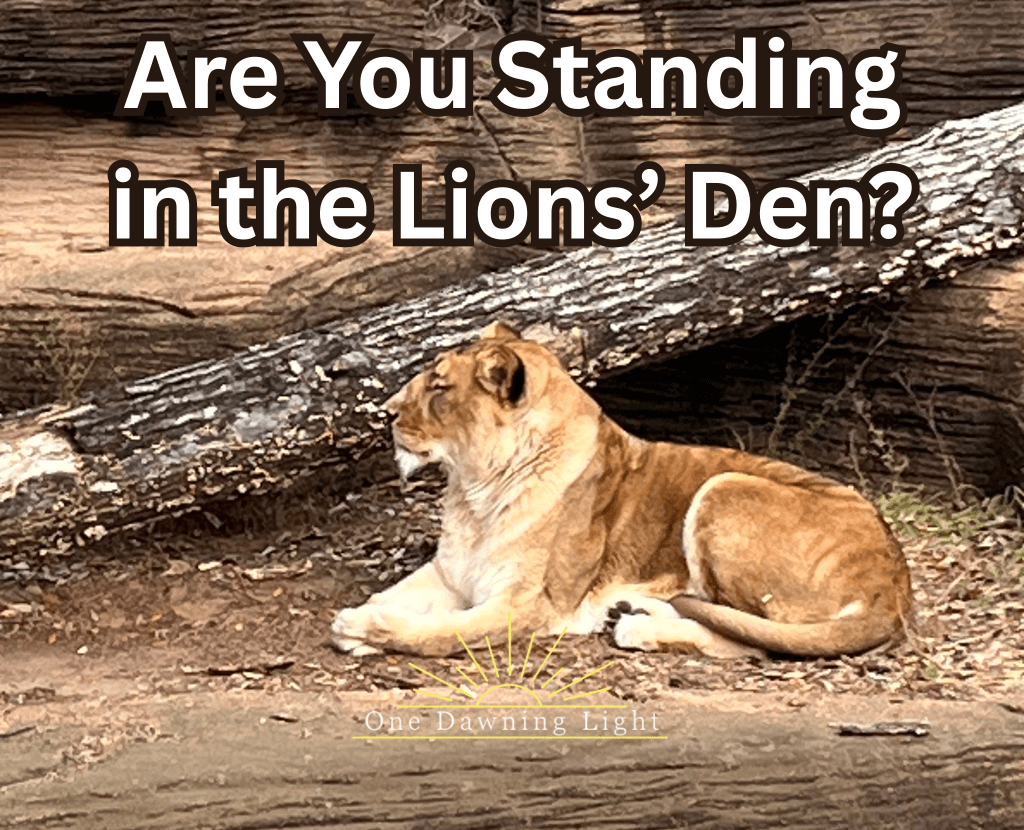 A lion lying in his den